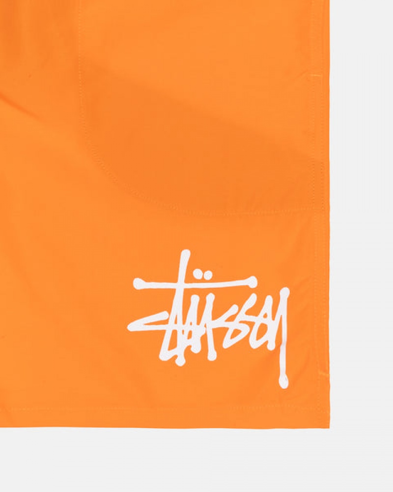 Orange Women's Stussy Water Short Big Basic Shorts Bangkok | Thailand OIN-7857